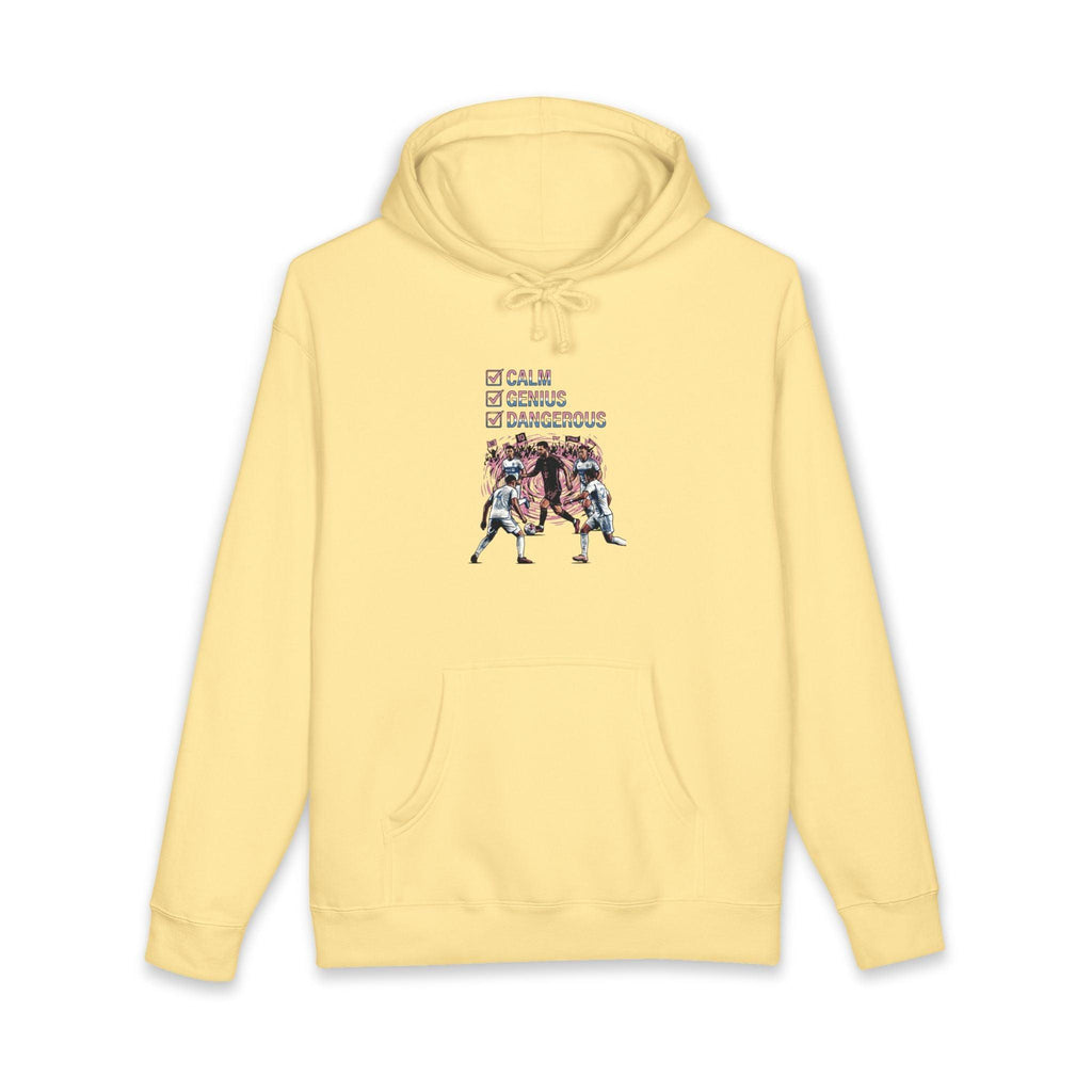 World Cup 2026 Soccer Hoodie - "Celebrate the World Cup 2026 Energy".