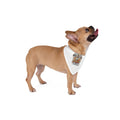 World Cup 2026 Pet Bandana — Soccer Energy Dog Bandana (Celebrate the World Cup).